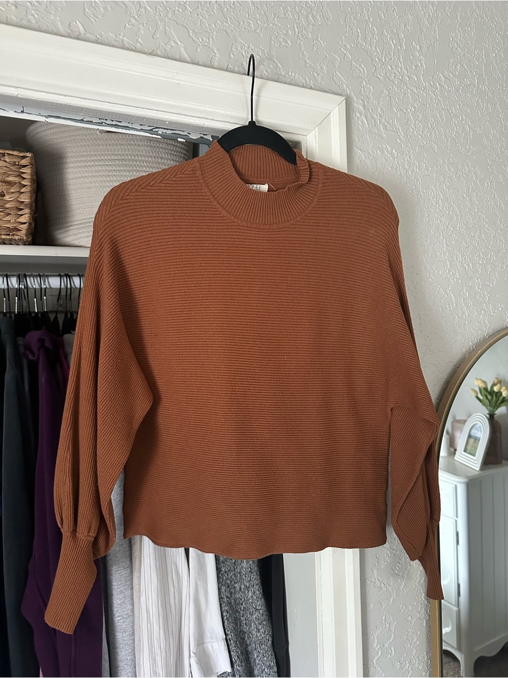 Roolee Ribbed Mock Neck Sweater in Rust